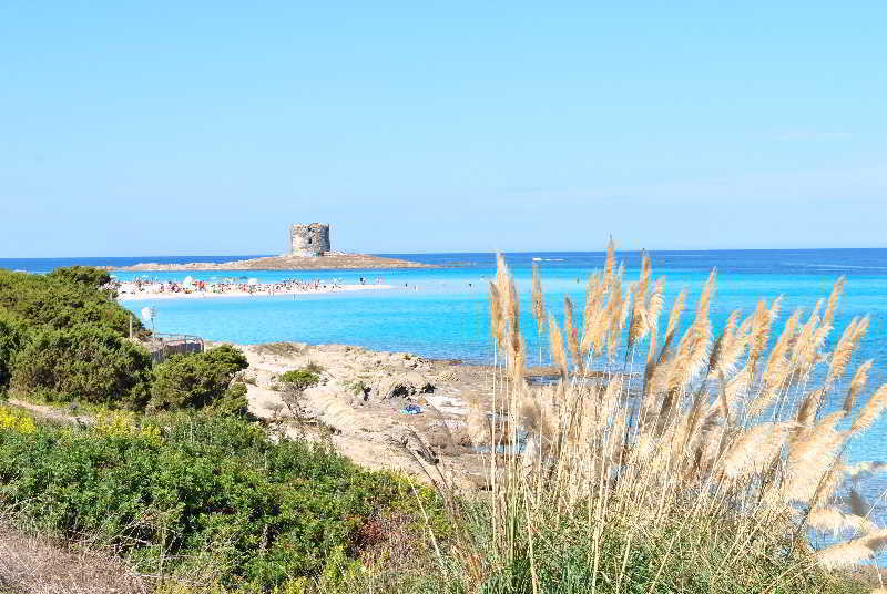 Geranio Rosso 3*